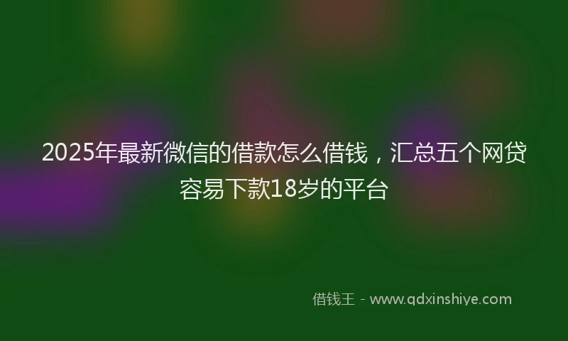 2025年最新微信的借款怎么借钱，汇总五个网贷容易下款18岁的平台