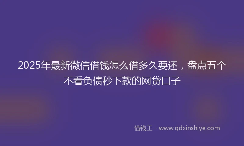 2025年最新微信借钱怎么借多久要还，盘点五个不看负债秒下款的网贷口子