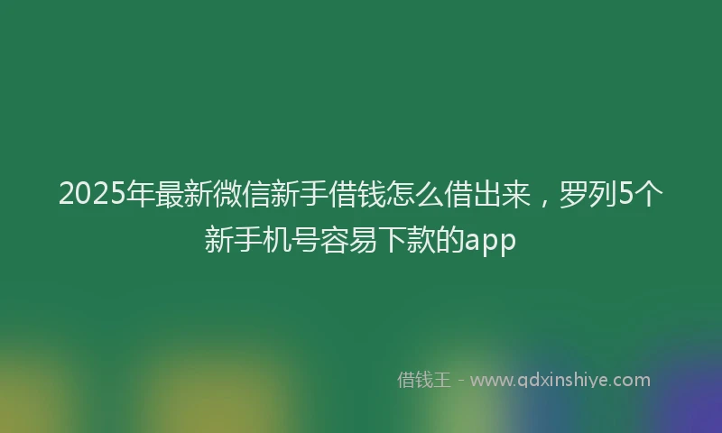 2025年最新微信新手借钱怎么借出来，罗列5个新手机号容易下款的app
