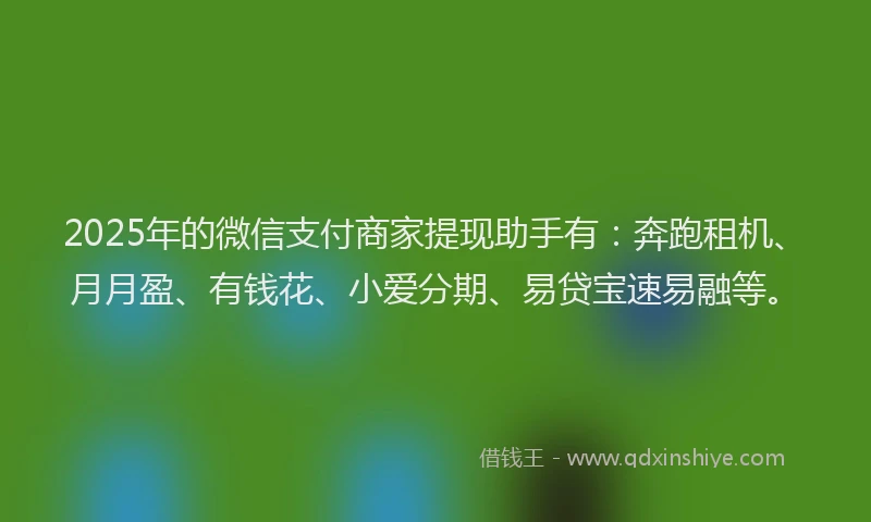 2025年的微信支付商家提现助手有：奔跑租机、月月盈、有钱花、小爱分期、易贷宝速易融等。