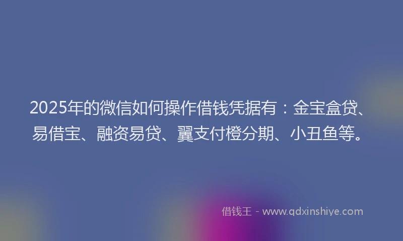 2025年的微信如何操作借钱凭据有：金宝盒贷、易借宝、融资易贷、翼支付橙分期、小丑鱼等。