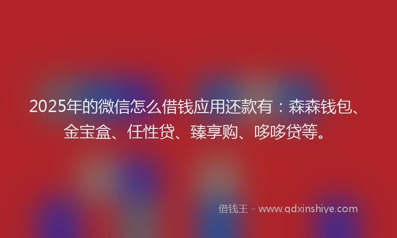 2025年的微信怎么借钱应用还款有：森森钱包、金宝盒、任性贷、臻享购、哆哆贷等。