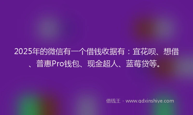 2025年的微信有一个借钱收据有：宜花呗、想借、普惠Pro钱包、现金超人、蓝莓贷等。