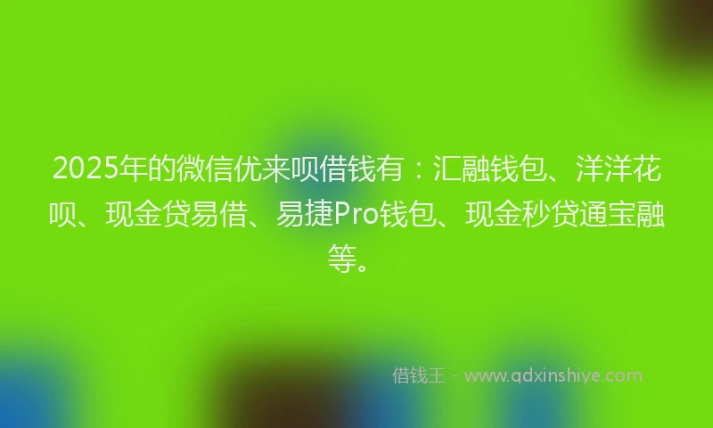 2025年的微信优来呗借钱有：汇融钱包、洋洋花呗、现金贷易借、易捷Pro钱包、现金秒贷通宝融等。