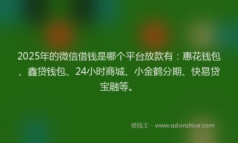 2025年的微信借钱是哪个平台放款有：惠花钱包、鑫贷钱包、24小时商城、小金鹤分期、快易贷宝融等。