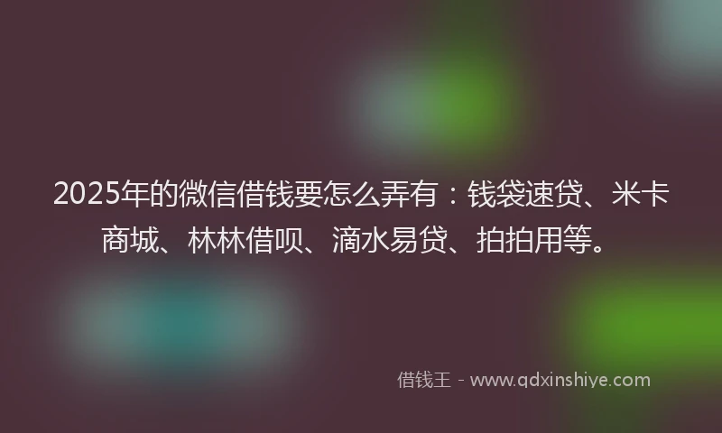 2025年的微信借钱要怎么弄有：钱袋速贷、米卡商城、林林借呗、滴水易贷、拍拍用等。
