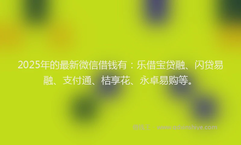 2025年的最新微信借钱有：乐借宝贷融、闪贷易融、支付通、桔享花、永卓易购等。