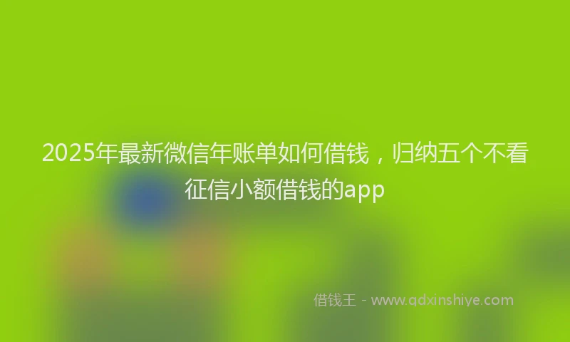 2025年最新微信年账单如何借钱，归纳五个不看征信小额借钱的app