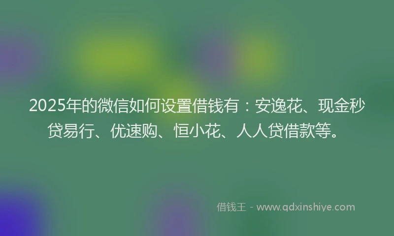 2025年的微信如何设置借钱有：安逸花、现金秒贷易行、优速购、恒小花、人人贷借款等。