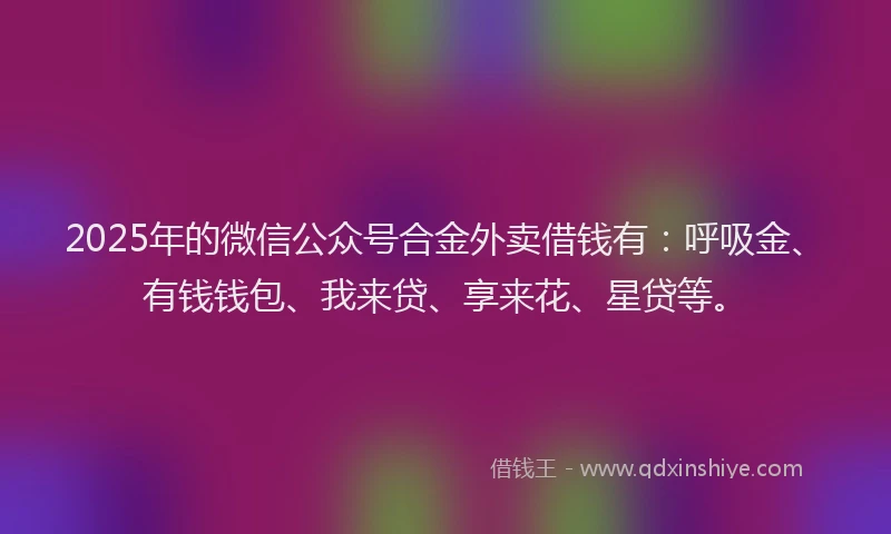2025年的微信公众号合金外卖借钱有：呼吸金、有钱钱包、我来贷、享来花、星贷等。