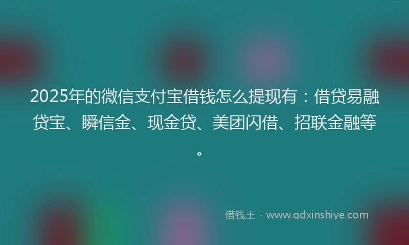 2025年的微信支付宝借钱怎么提现有：借贷易融贷宝、瞬信金、现金贷、美团闪借、招联金融等。