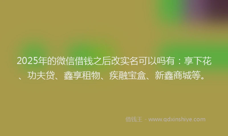 2025年的微信借钱之后改实名可以吗有：享下花、功夫贷、鑫享租物、疾融宝盒、新鑫商城等。