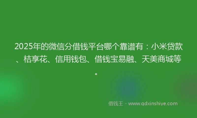 2025年的微信分借钱平台哪个靠谱有：小米贷款、桔享花、信用钱包、借钱宝易融、天美商城等。