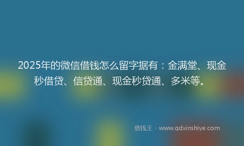 2025年的微信借钱怎么留字据有：金满堂、现金秒借贷、信贷通、现金秒贷通、多米等。