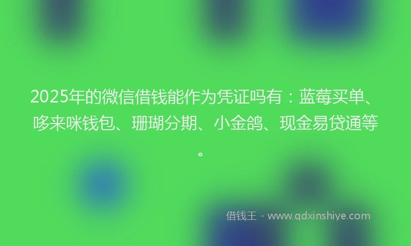 2025年的微信借钱能作为凭证吗有：蓝莓买单、哆来咪钱包、珊瑚分期、小金鸽、现金易贷通等。