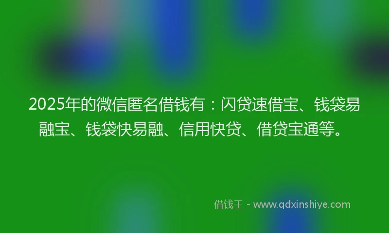 2025年的微信匿名借钱有：闪贷速借宝、钱袋易融宝、钱袋快易融、信用快贷、借贷宝通等。