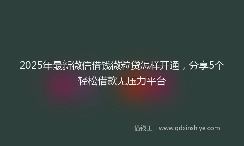 2025年最新微信借钱微粒贷怎样开通，分享5个轻松借款无压力平台