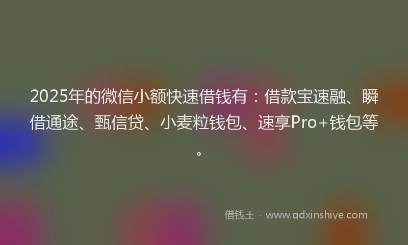 2025年的微信小额快速借钱有：借款宝速融、瞬借通途、甄信贷、小麦粒钱包、速享Pro+钱包等。