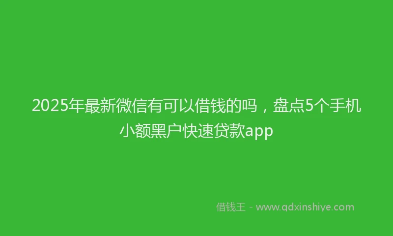 2025年最新微信有可以借钱的吗，盘点5个手机小额黑户快速贷款app