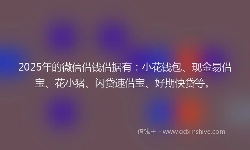 2025年的微信借钱借据有：小花钱包、现金易借宝、花小猪、闪贷速借宝、好期快贷等。