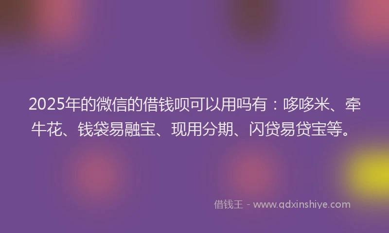 2025年的微信的借钱呗可以用吗有：哆哆米、牵牛花、钱袋易融宝、现用分期、闪贷易贷宝等。