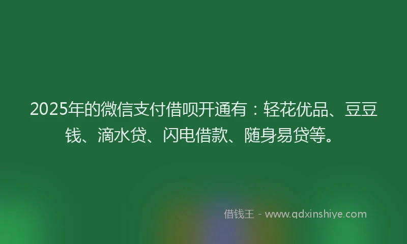 2025年的微信支付借呗开通有：轻花优品、豆豆钱、滴水贷、闪电借款、随身易贷等。