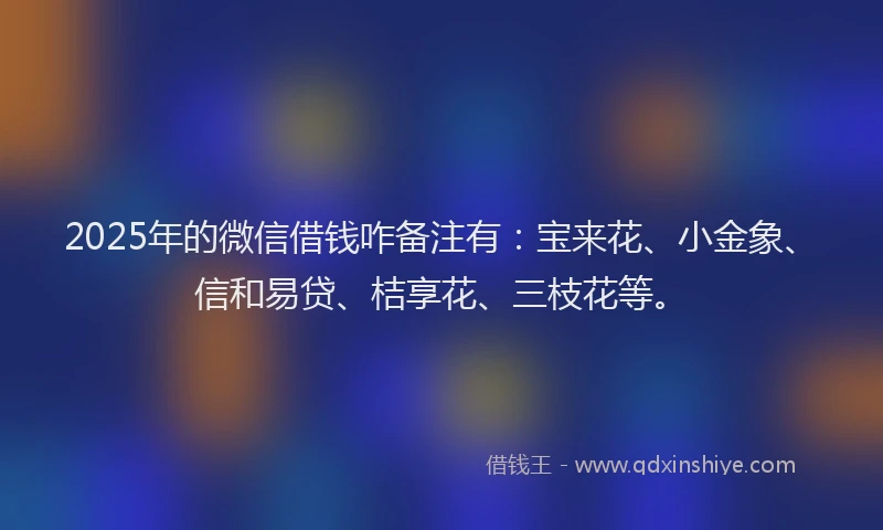 2025年的微信借钱咋备注有：宝来花、小金象、信和易贷、桔享花、三枝花等。