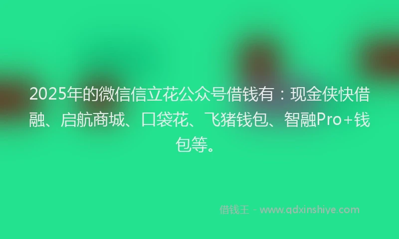 2025年的微信信立花公众号借钱有：现金侠快借融、启航商城、口袋花、飞猪钱包、智融Pro+钱包等。
