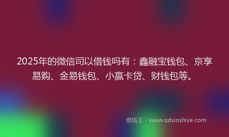 2025年的微信司以借钱吗有：鑫融宝钱包、京享易购、金易钱包、小赢卡贷、财钱包等。
