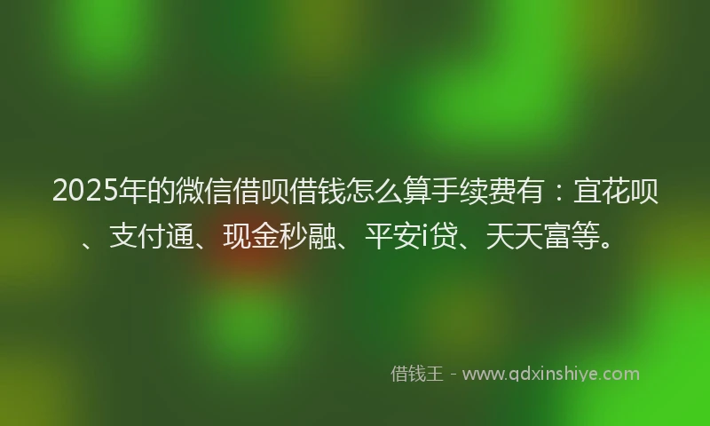 2025年的微信借呗借钱怎么算手续费有：宜花呗、支付通、现金秒融、平安i贷、天天富等。