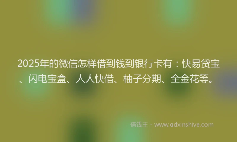 2025年的微信怎样借到钱到银行卡有：快易贷宝、闪电宝盒、人人快借、柚子分期、全金花等。