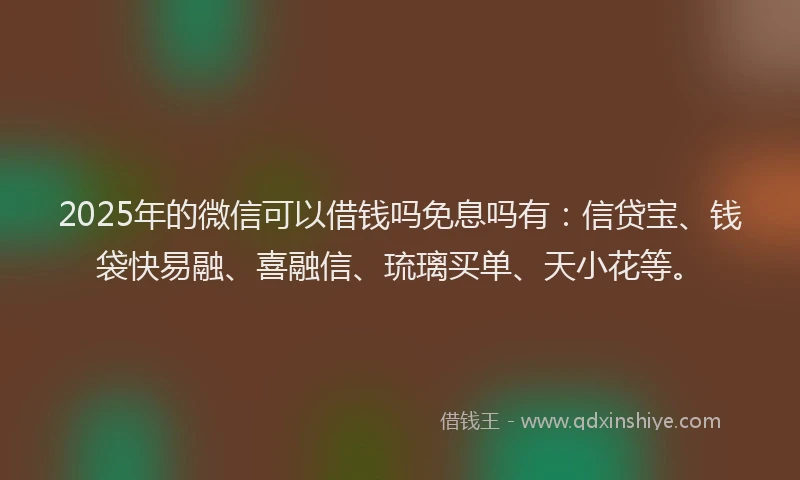 2025年的微信可以借钱吗免息吗有：信贷宝、钱袋快易融、喜融信、琉璃买单、天小花等。