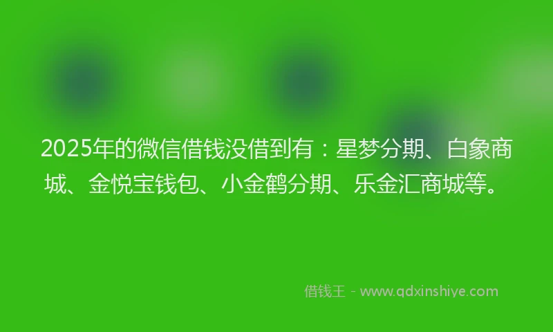 2025年的微信借钱没借到有：星梦分期、白象商城、金悦宝钱包、小金鹤分期、乐金汇商城等。