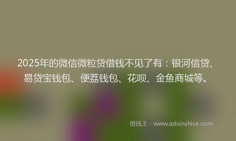 2025年的微信微粒贷借钱不见了有：银河信贷、易贷宝钱包、便荔钱包、花呗、金鱼商城等。