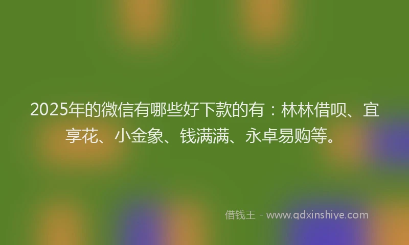 2025年的微信有哪些好下款的有：林林借呗、宜享花、小金象、钱满满、永卓易购等。