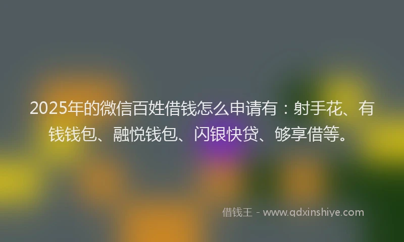 2025年的微信百姓借钱怎么申请有：射手花、有钱钱包、融悦钱包、闪银快贷、够享借等。