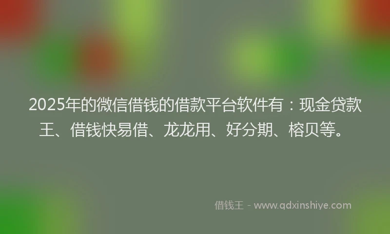 2025年的微信借钱的借款平台软件有：现金贷款王、借钱快易借、龙龙用、好分期、榕贝等。