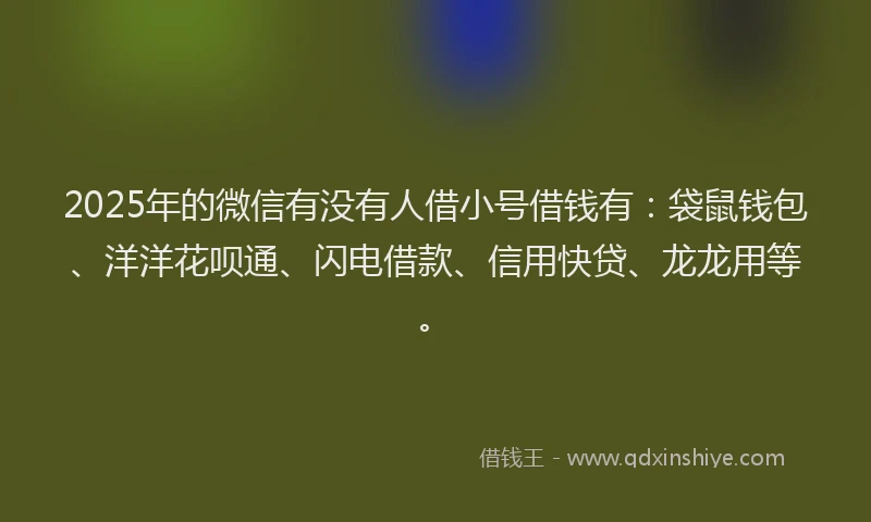 2025年的微信有没有人借小号借钱有：袋鼠钱包、洋洋花呗通、闪电借款、信用快贷、龙龙用等。