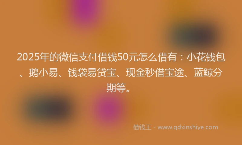 2025年的微信支付借钱50元怎么借有：小花钱包、鹅小易、钱袋易贷宝、现金秒借宝途、蓝鲸分期等。