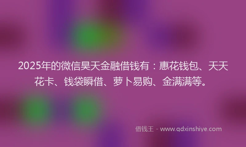 2025年的微信昊天金融借钱有：惠花钱包、天天花卡、钱袋瞬借、萝卜易购、金满满等。