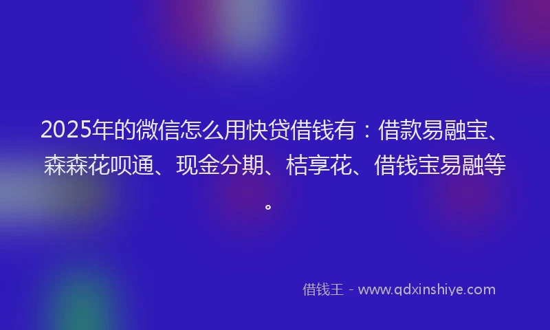 2025年的微信怎么用快贷借钱有：借款易融宝、森森花呗通、现金分期、桔享花、借钱宝易融等。