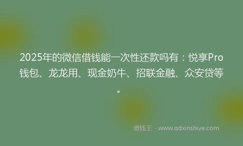 2025年的微信借钱能一次性还款吗有：悦享Pro钱包、龙龙用、现金奶牛、招联金融、众安贷等。