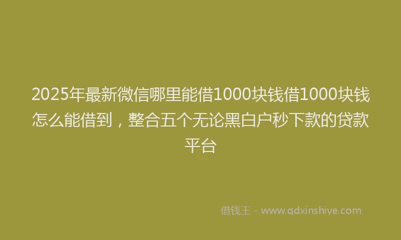 2025年最新微信哪里能借1000块钱借1000块钱怎么能借到，整合五个无论黑白户秒下款的贷款平台