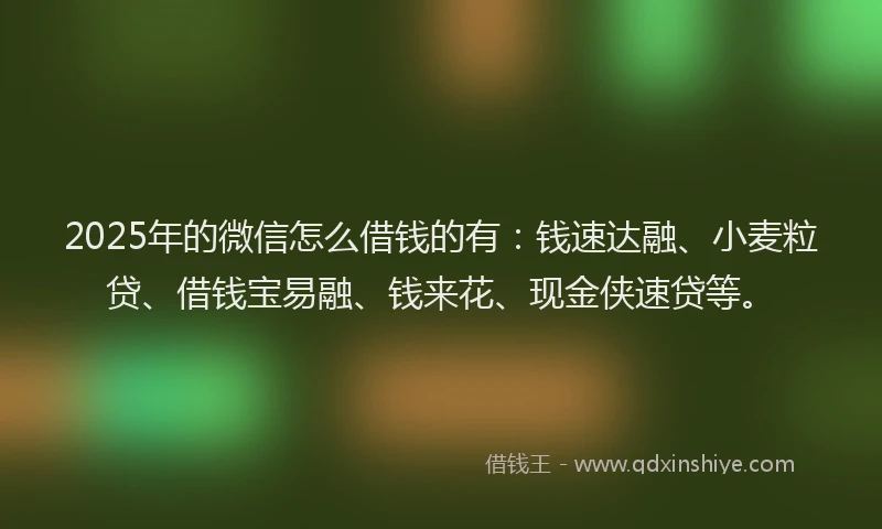 2025年的微信怎么借钱的有：钱速达融、小麦粒贷、借钱宝易融、钱来花、现金侠速贷等。