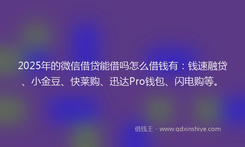 2025年的微信借贷能借吗怎么借钱有：钱速融贷、小金豆、快莱购、迅达Pro钱包、闪电购等。