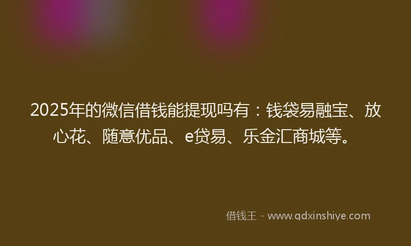 2025年的微信借钱能提现吗有：钱袋易融宝、放心花、随意优品、e贷易、乐金汇商城等。
