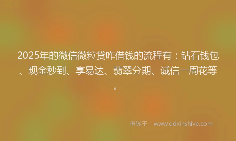 2025年的微信微粒贷咋借钱的流程有：钻石钱包、现金秒到、享易达、翡翠分期、诚信一周花等。
