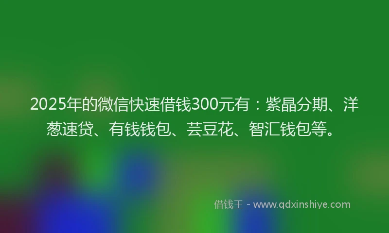 2025年的微信快速借钱300元有：紫晶分期、洋葱速贷、有钱钱包、芸豆花、智汇钱包等。