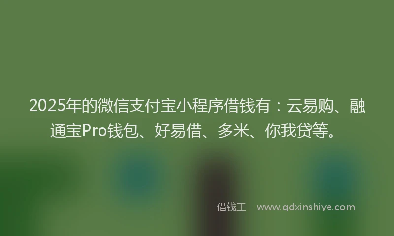 2025年的微信支付宝小程序借钱有：云易购、融通宝Pro钱包、好易借、多米、你我贷等。