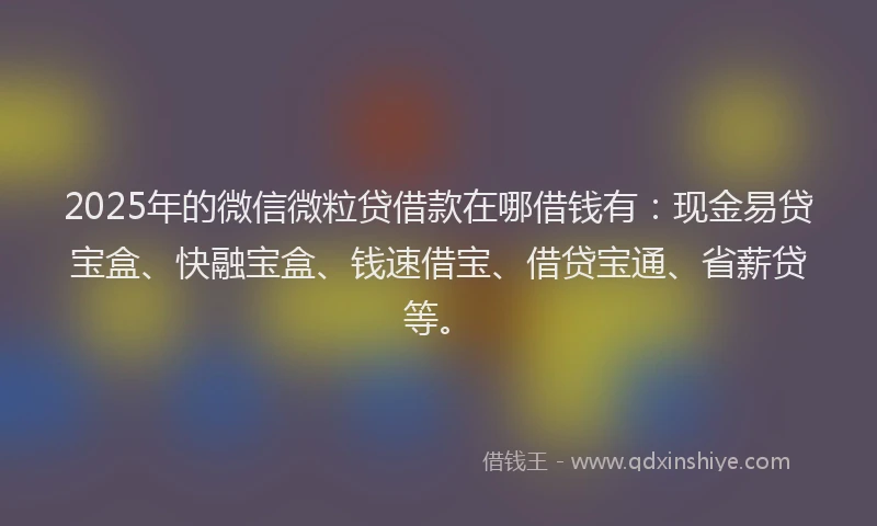 2025年的微信微粒贷借款在哪借钱有:现金易贷宝盒、快融宝盒、钱速借宝、借贷宝通、省薪贷等。